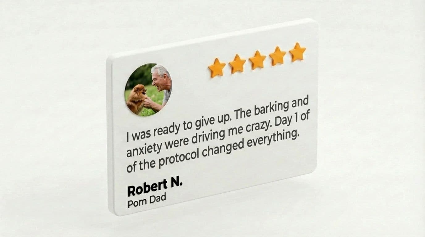Robert N. testimonial